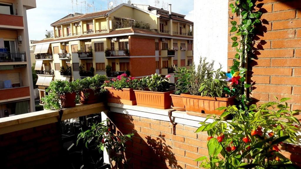 Апартаменти La Casa Di Egle Рим Екстер'єр фото